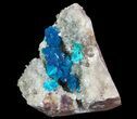 Vibrant Blue Cavansite Clusters on Stilbite - India #64799-1